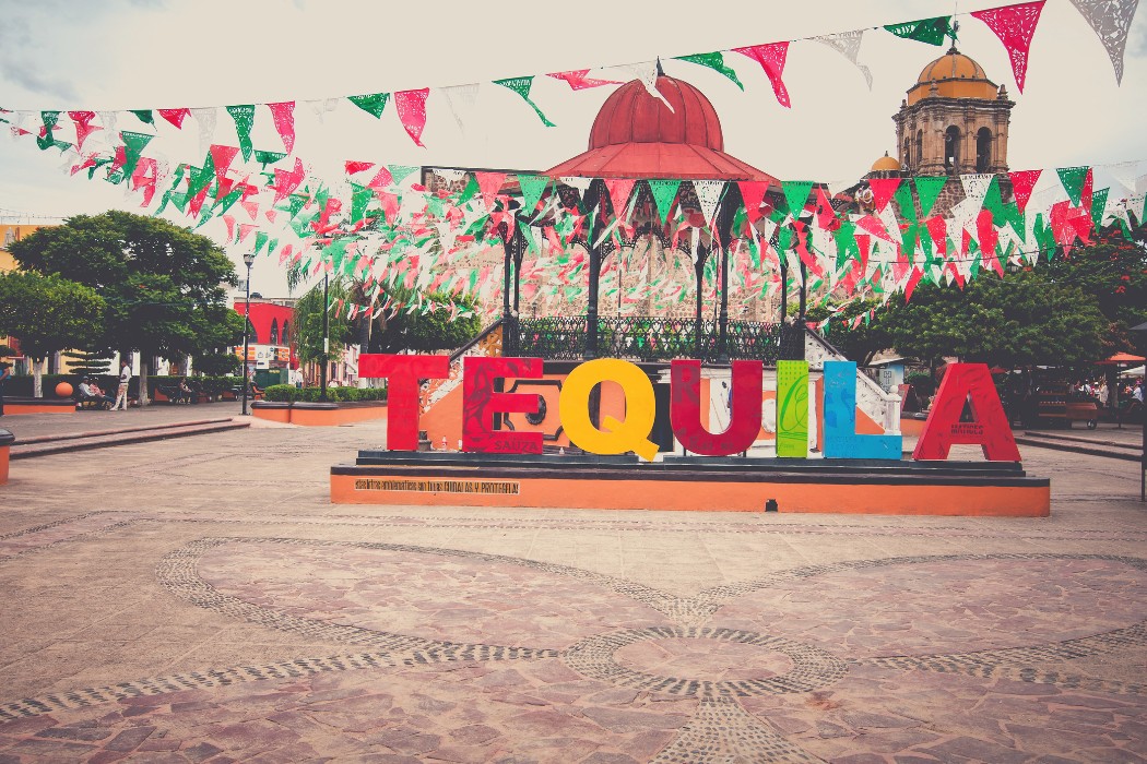 Una mirada a la icónica Ruta del Tequila