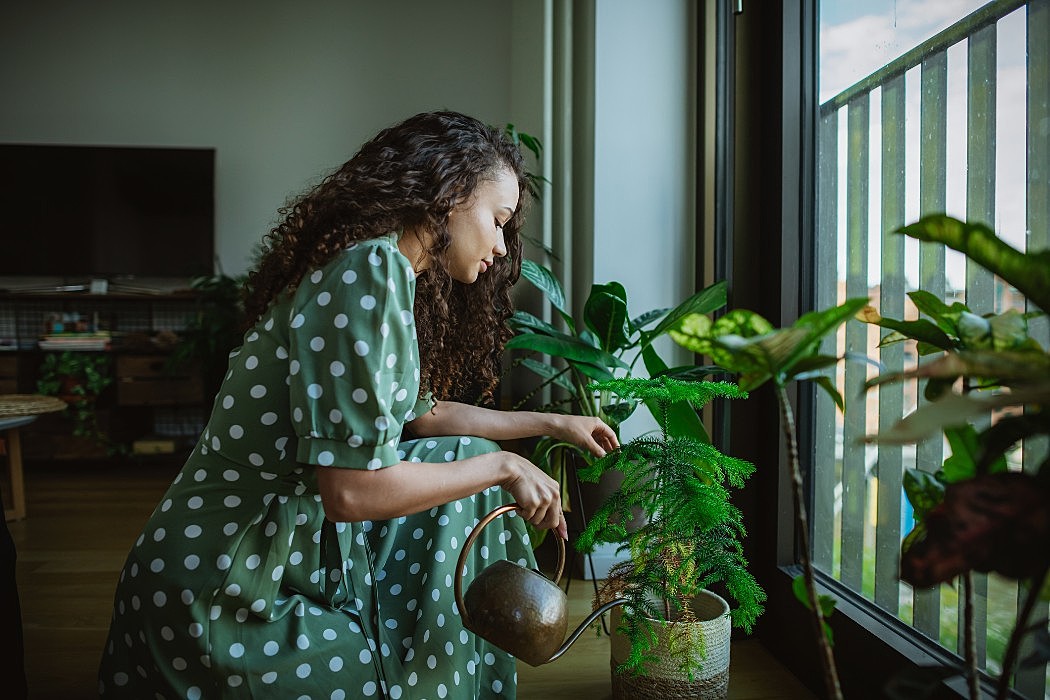 7 consejos para mantener fresco tu departamento nuevo 7 consejos para mantener fresco tu departamento nuevo