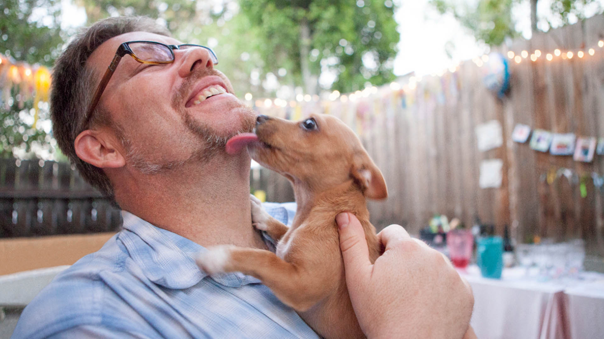 Los beneficios de tener un perro