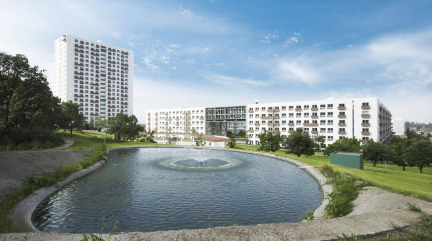 Bosque y ciudad: Conoce los departamentos en venta de Avaterra Bosque y ciudad: Conoce los departamentos en venta de Avaterra
