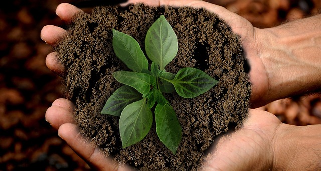Sustentabilidad y sostenibilidad: El dúo para tu siguiente inversión Sustentabilidad y sostenibilidad: El dúo para tu siguiente inversión